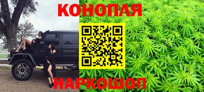 шишки Малгобек