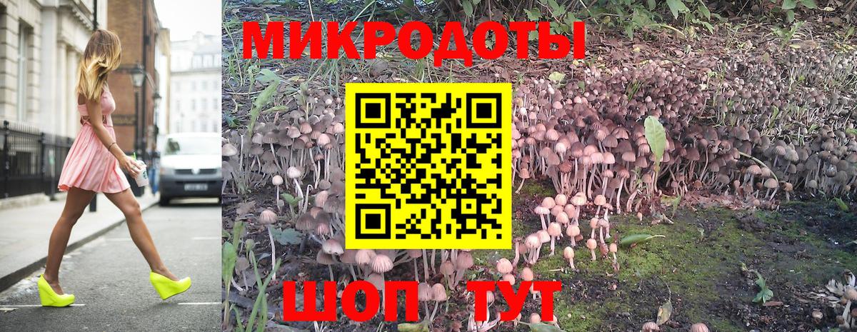 Псилоцибиновые грибы мицелий  Вход с VPN  Североморск  Псилоцибиновые грибы Psilocybe 